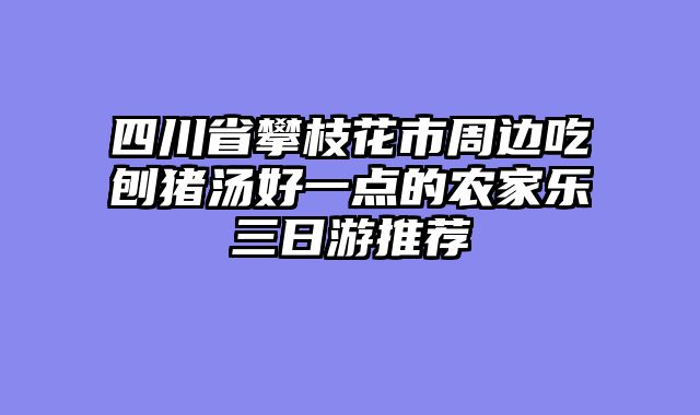 四川省攀枝花市周边吃刨猪汤好一点的农家乐三日游推荐