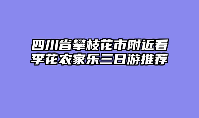 四川省攀枝花市附近看李花农家乐三日游推荐
