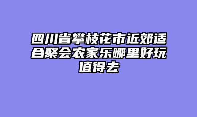 四川省攀枝花市近郊适合聚会农家乐哪里好玩值得去