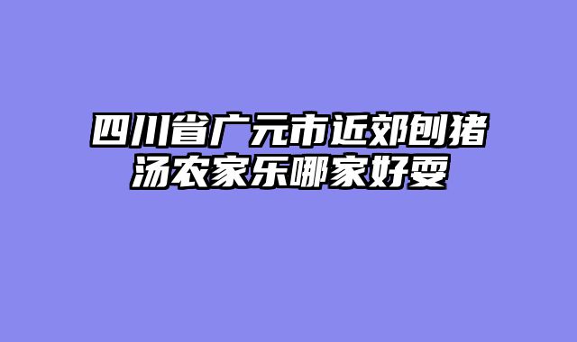 四川省广元市近郊刨猪汤农家乐哪家好耍