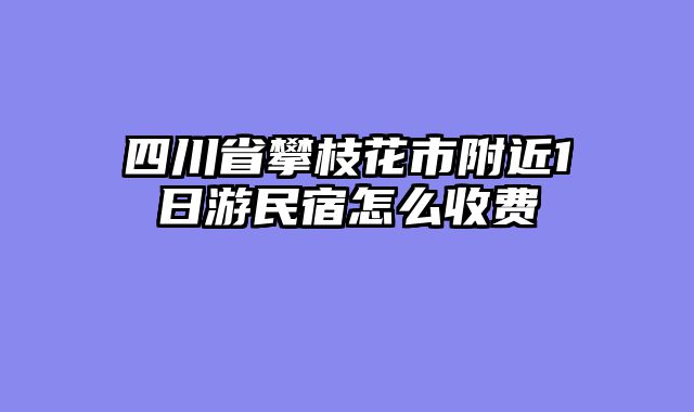 四川省攀枝花市附近1日游民宿怎么收费