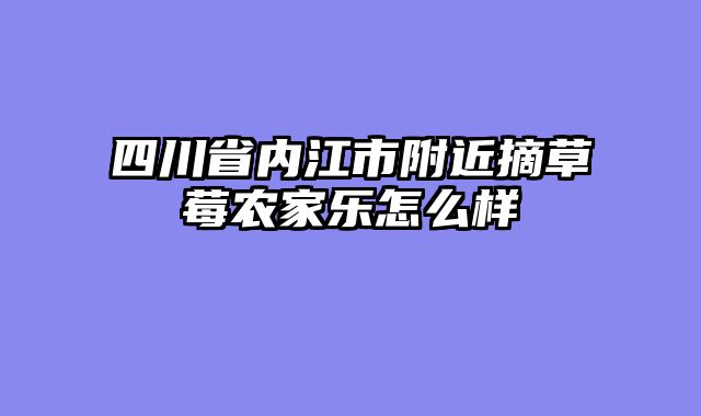 四川省内江市附近摘草莓农家乐怎么样