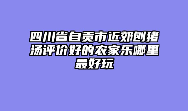 四川省自贡市近郊刨猪汤评价好的农家乐哪里最好玩