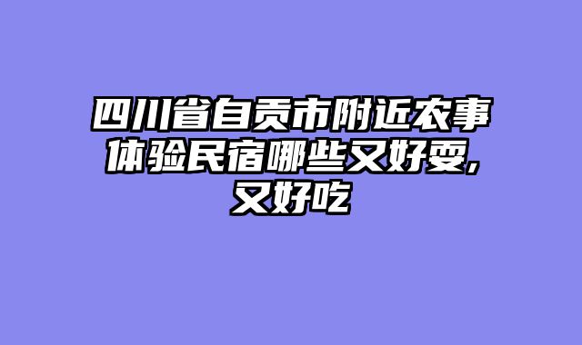 四川省自贡市附近农事体验民宿哪些又好耍,又好吃
