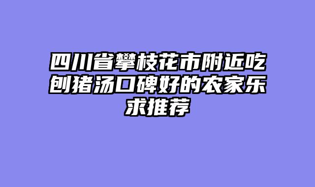 四川省攀枝花市附近吃刨猪汤口碑好的农家乐求推荐