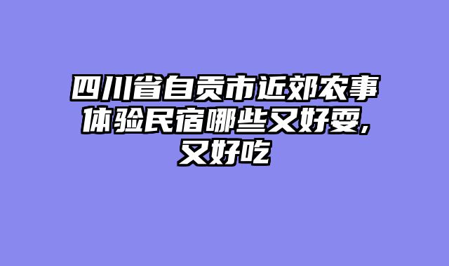 四川省自贡市近郊农事体验民宿哪些又好耍,又好吃