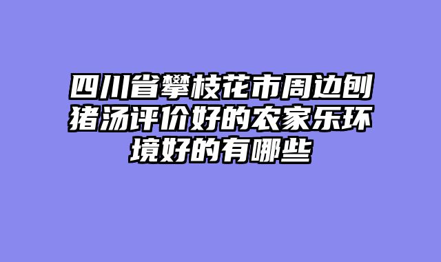 四川省攀枝花市周边刨猪汤评价好的农家乐环境好的有哪些