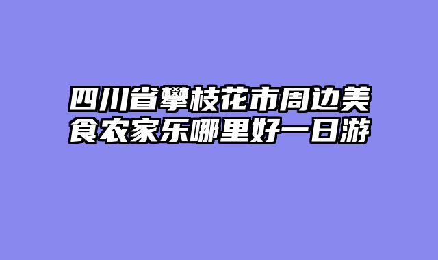 四川省攀枝花市周边美食农家乐哪里好一日游