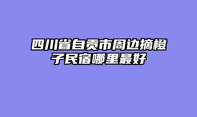 四川省自贡市周边摘橙子民宿哪里最好