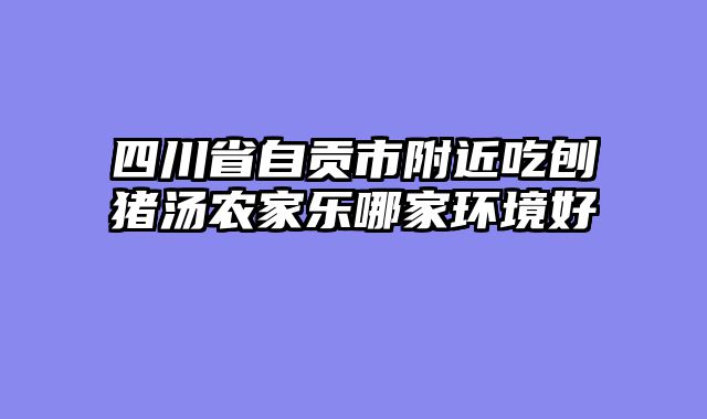 四川省自贡市附近吃刨猪汤农家乐哪家环境好