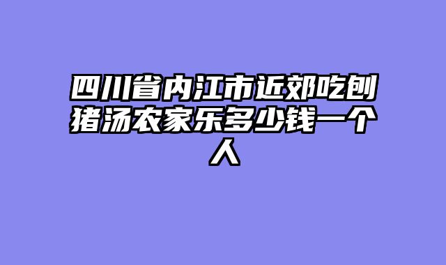 四川省内江市近郊吃刨猪汤农家乐多少钱一个人