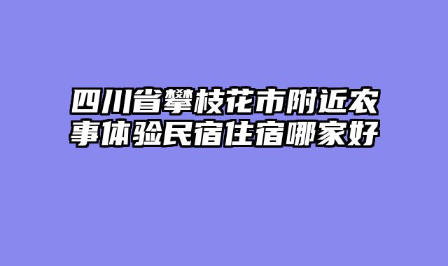 四川省攀枝花市附近农事体验民宿住宿哪家好