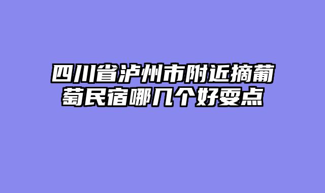 四川省泸州市附近摘葡萄民宿哪几个好耍点
