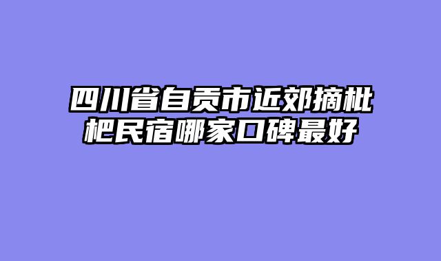 四川省自贡市近郊摘枇杷民宿哪家口碑最好