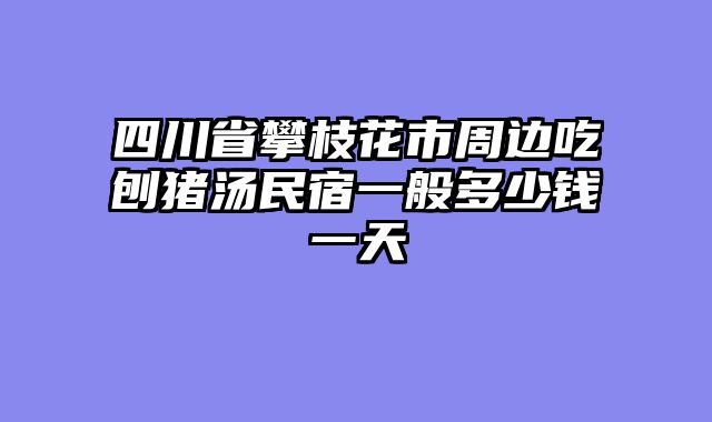 四川省攀枝花市周边吃刨猪汤民宿一般多少钱一天