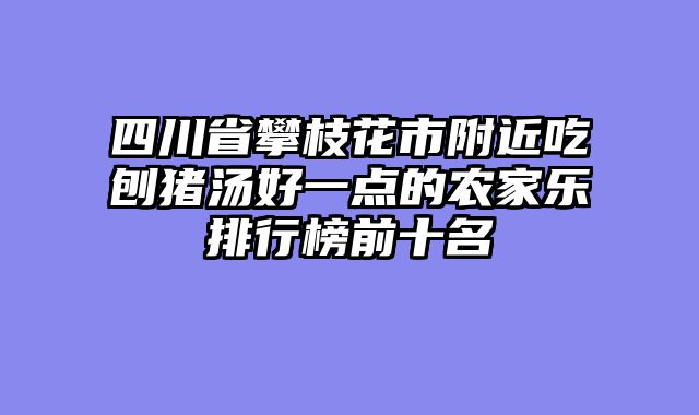 四川省攀枝花市附近吃刨猪汤好一点的农家乐排行榜前十名