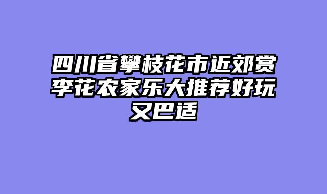 四川省攀枝花市近郊赏李花农家乐大推荐好玩又巴适