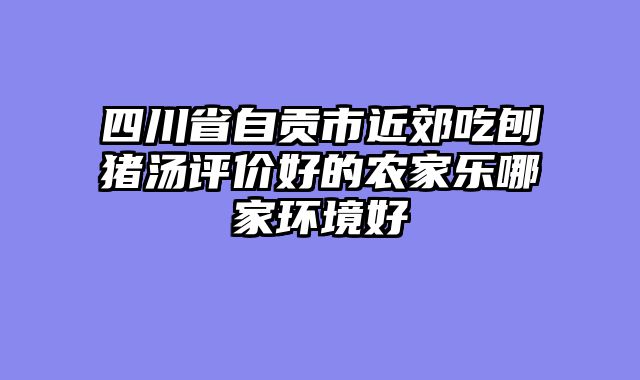 四川省自贡市近郊吃刨猪汤评价好的农家乐哪家环境好