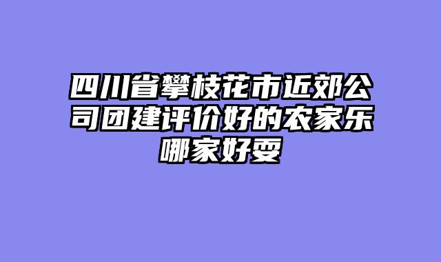 四川省攀枝花市近郊公司团建评价好的农家乐哪家好耍