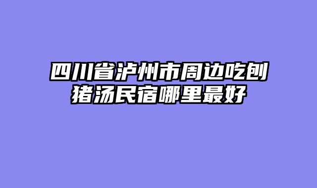 四川省泸州市周边吃刨猪汤民宿哪里最好