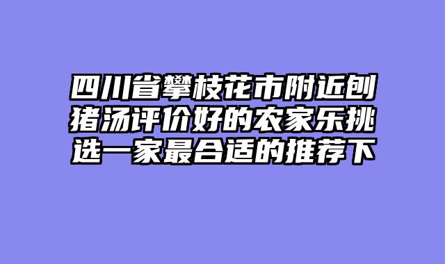 四川省攀枝花市附近刨猪汤评价好的农家乐挑选一家最合适的推荐下