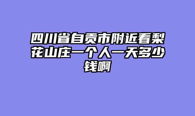 四川省自贡市附近看梨花山庄一个人一天多少钱啊