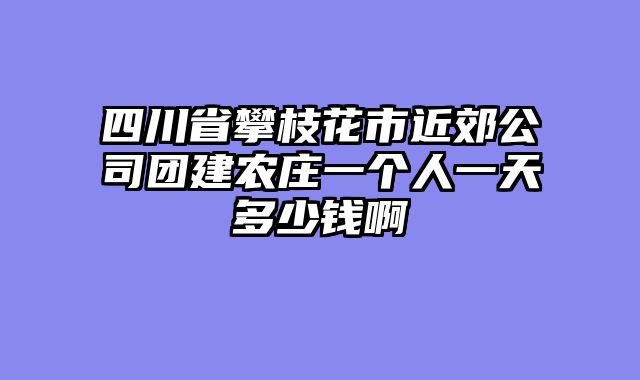 四川省攀枝花市近郊公司团建农庄一个人一天多少钱啊