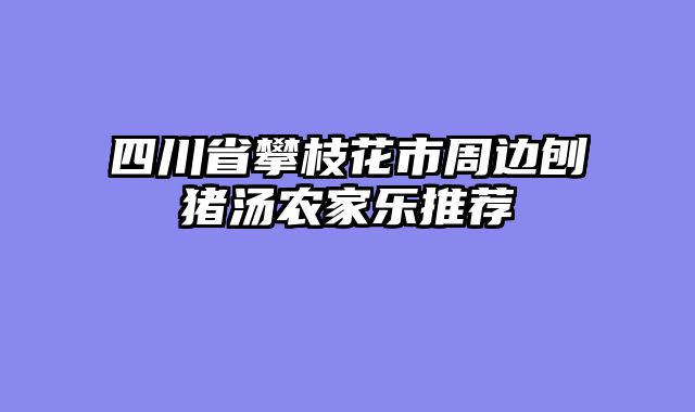 四川省攀枝花市周边刨猪汤农家乐推荐