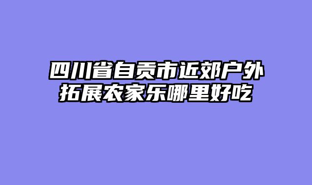 四川省自贡市近郊户外拓展农家乐哪里好吃