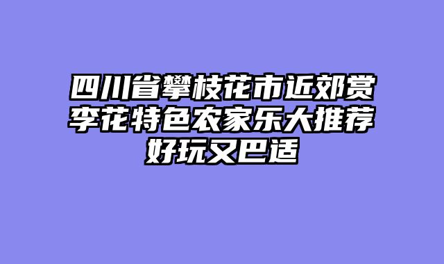 四川省攀枝花市近郊赏李花特色农家乐大推荐好玩又巴适