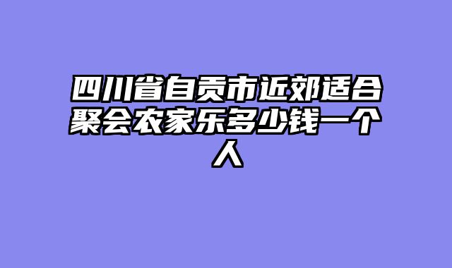 四川省自贡市近郊适合聚会农家乐多少钱一个人