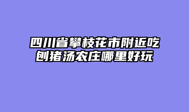 四川省攀枝花市附近吃刨猪汤农庄哪里好玩