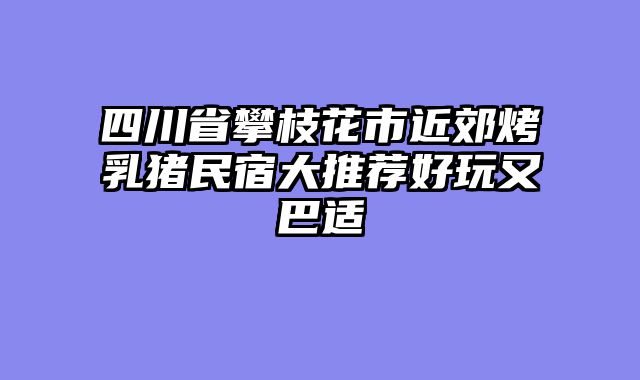 四川省攀枝花市近郊烤乳猪民宿大推荐好玩又巴适