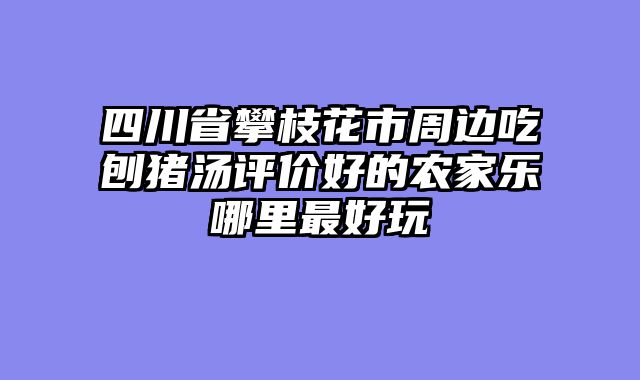 四川省攀枝花市周边吃刨猪汤评价好的农家乐哪里最好玩