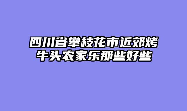 四川省攀枝花市近郊烤牛头农家乐那些好些