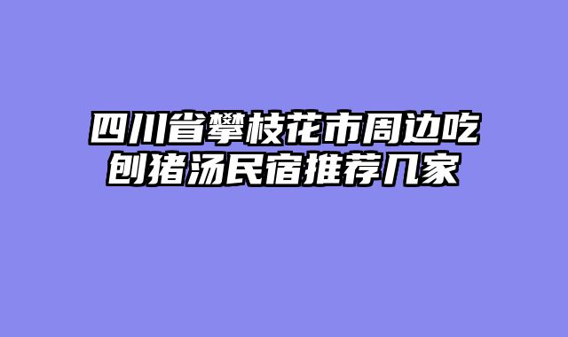 四川省攀枝花市周边吃刨猪汤民宿推荐几家