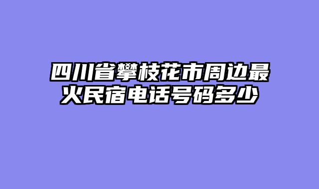 四川省攀枝花市周边最火民宿电话号码多少