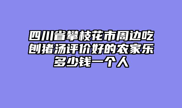 四川省攀枝花市周边吃刨猪汤评价好的农家乐多少钱一个人