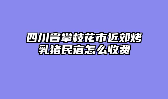 四川省攀枝花市近郊烤乳猪民宿怎么收费