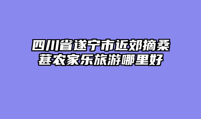 四川省遂宁市近郊摘桑葚农家乐旅游哪里好