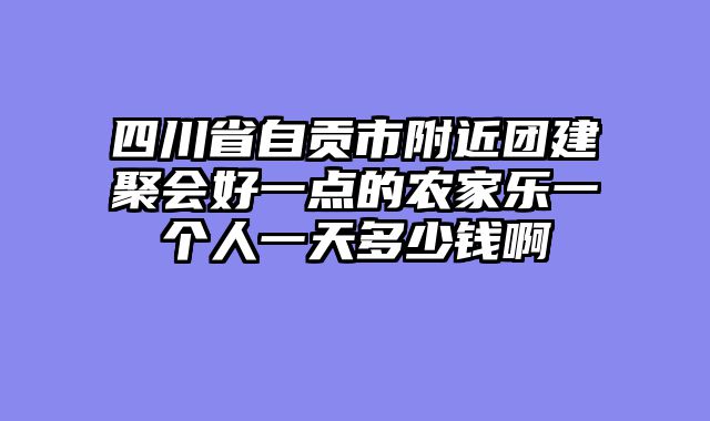四川省自贡市附近团建聚会好一点的农家乐一个人一天多少钱啊