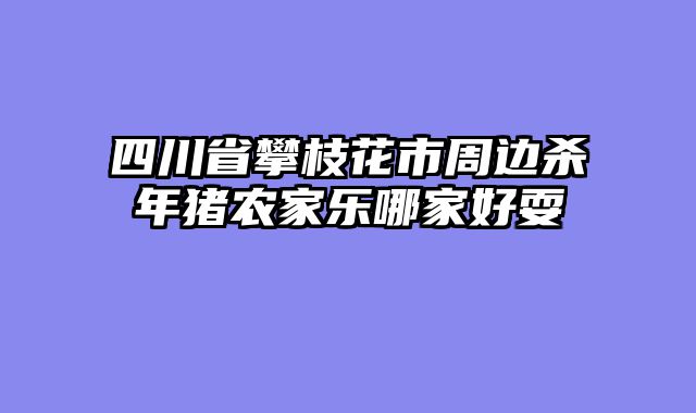 四川省攀枝花市周边杀年猪农家乐哪家好耍