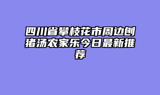 四川省攀枝花市周边刨猪汤农家乐今日最新推荐