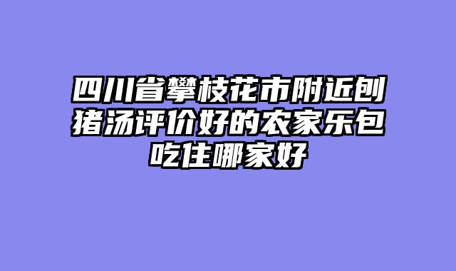 四川省攀枝花市附近刨猪汤评价好的农家乐包吃住哪家好
