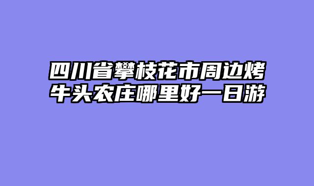 四川省攀枝花市周边烤牛头农庄哪里好一日游