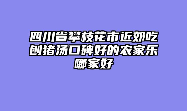 四川省攀枝花市近郊吃刨猪汤口碑好的农家乐哪家好
