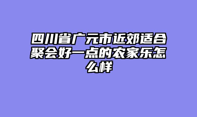 四川省广元市近郊适合聚会好一点的农家乐怎么样