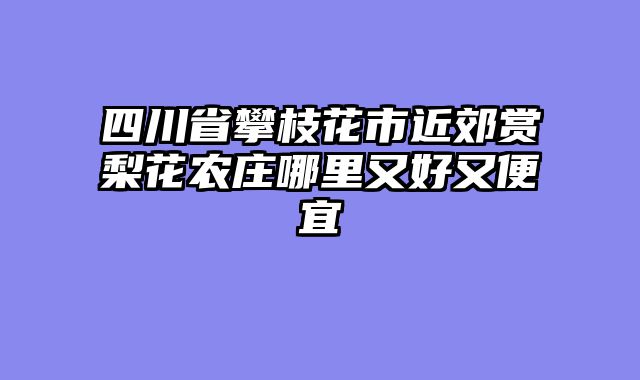 四川省攀枝花市近郊赏梨花农庄哪里又好又便宜