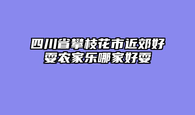 四川省攀枝花市近郊好耍农家乐哪家好耍