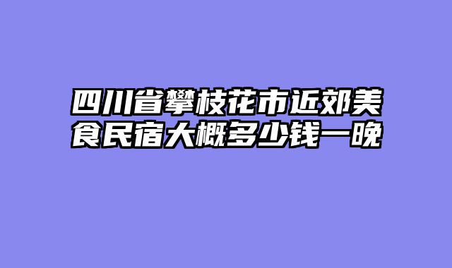 四川省攀枝花市近郊美食民宿大概多少钱一晚